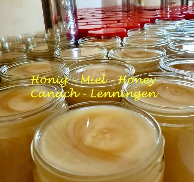 Honey Lenningen