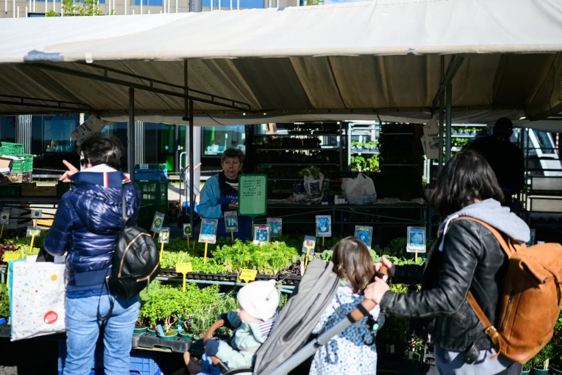 Glacis-Markt