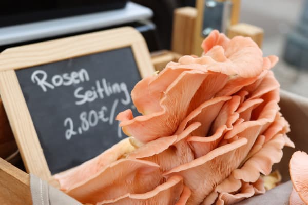 Diekirch Weekly Market
