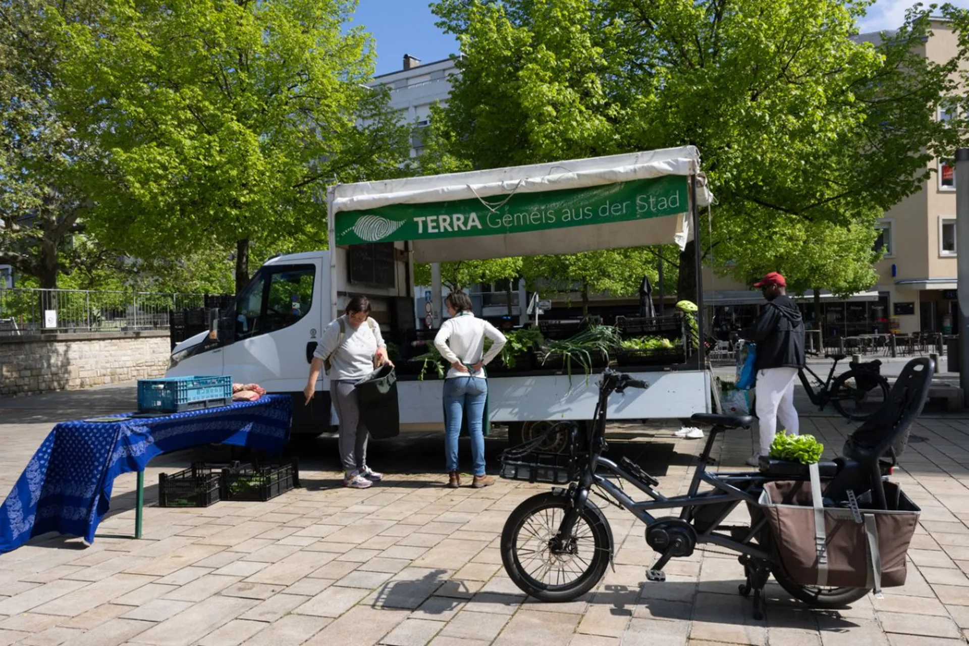 TERRA pick-up and market stand