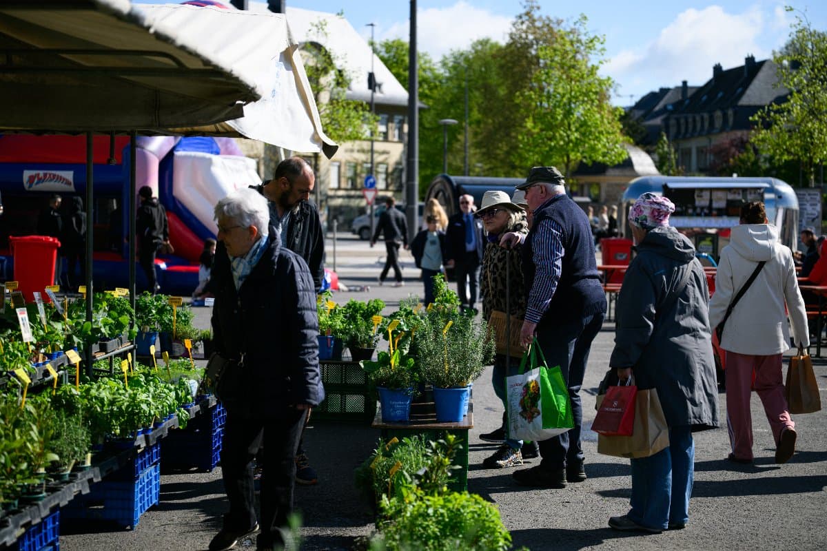 Glacis-Markt
