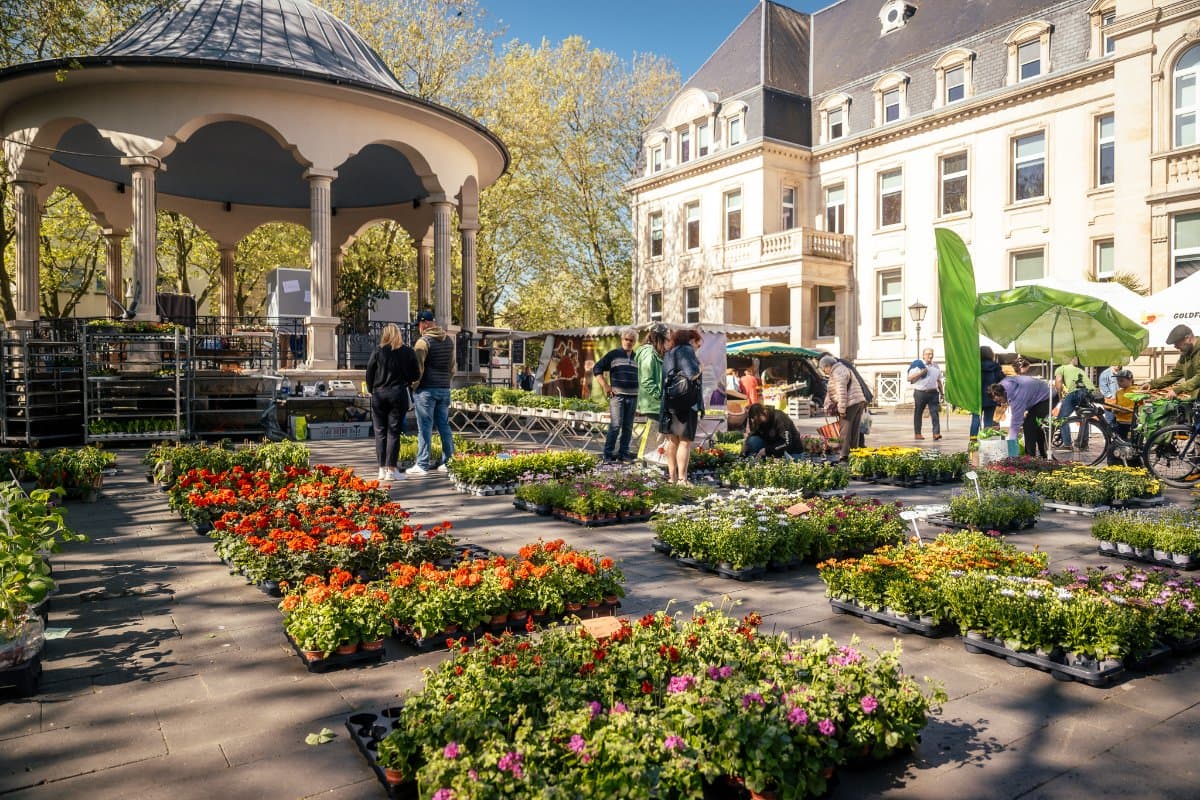 Dudelange Market