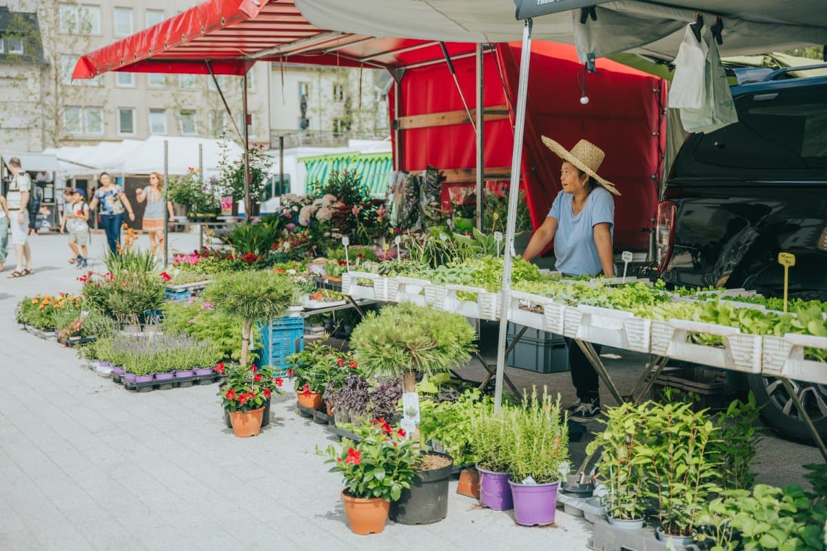City Center Market