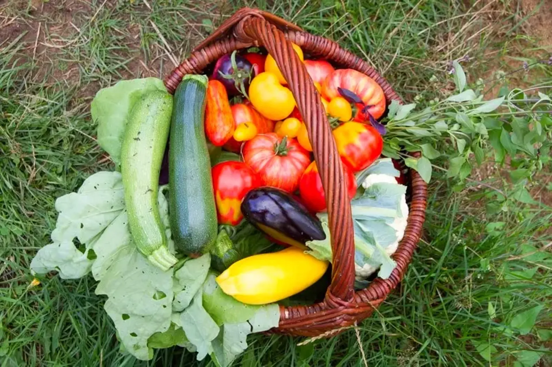 Basic basket