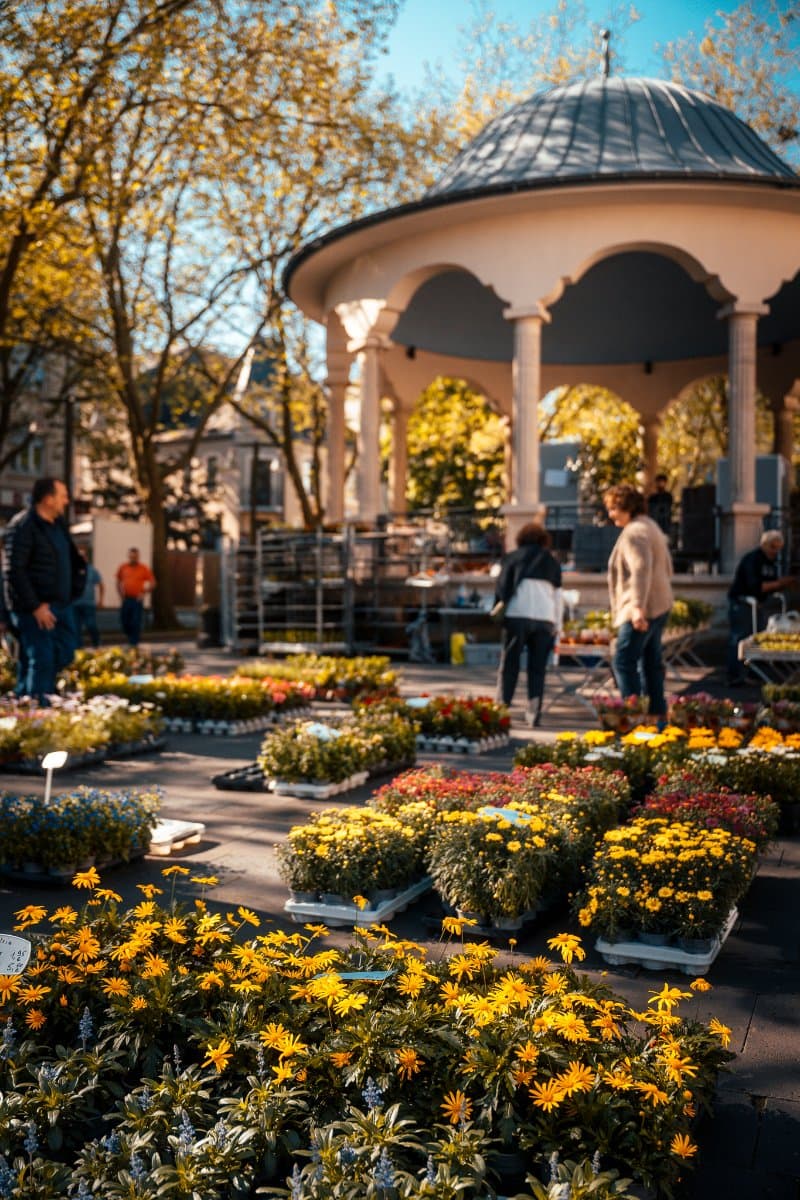 Dudelange Market
